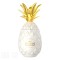 Liqueur Pinaq Colada 1l