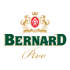 Bernard Pivo